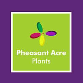 Pheasant Acre Plants photo